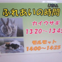 こんな感じで時間が決められています