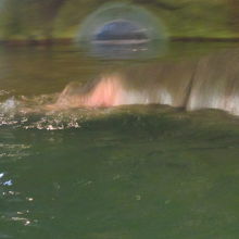 勿論、主役はカバさんですけどね( ´∀｀ )。