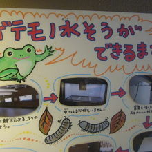 カエルさんがゲテモノ扱いされてるケロロ…(-_-;)