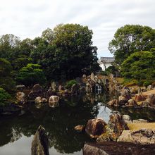 眺めていると気持ちが落ち着く庭です