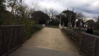 洋上に伊豆大島が見えました