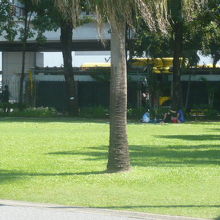 チャトゥチャック公園の中は、緑の芝が敷き詰められていてきれい