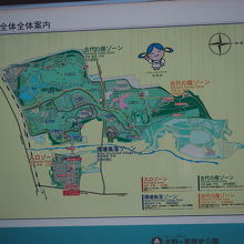 全体マップ