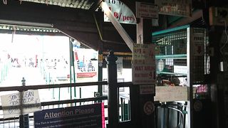 ワット ポーへの往復