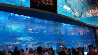 ドバイモール内の水族館