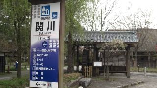 少しずつ大きくなりました