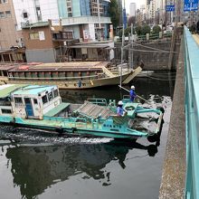 神田川の清掃の様子