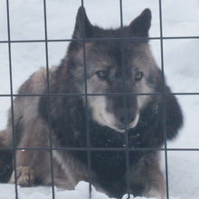 真正面から睨めっこしてみました( ´∀｀ )。