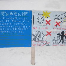 お散歩の鑑賞は、マナーを守って楽しみましょうね( ´∀｀ )