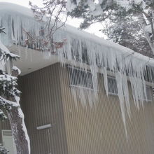 改築されてくじゃく舎となりましたが、冬はこんな感じです