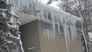 今はくじゃく舎となっています