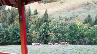 お天気の良い日にぜひ