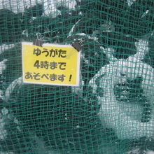 チューブのレンタルは無料ですよ( ´∀｀ )