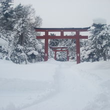 まっすぐに除雪されている参道の様子