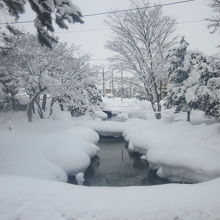 参道途中の橋から眺める、冬の北海道・樺太池の様子