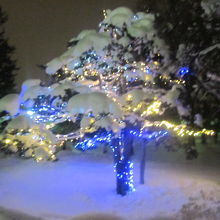 冬の夜の常磐公園イルミ１。