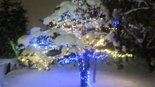 一応、冬まつり会場の一つとしての位置づけですので…。