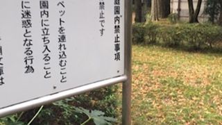 飛鳥山公園にあります。
