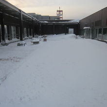 札幌市役所の展望回廊は屋外施設なので、勿論冬季はこんな状態。