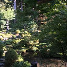 三千院からの庭園眺め