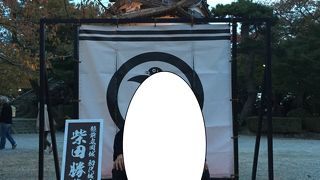 丸岡城ライトアップ