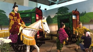 菊人形祭りを見に