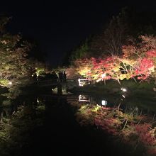 なばなの紅葉