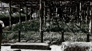 ちょっと早かった