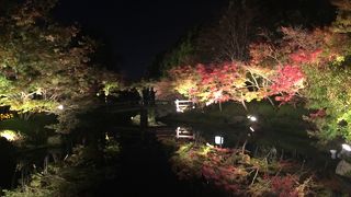 紅葉が綺麗