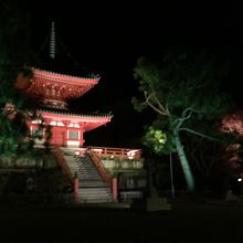 ライトアップ雰囲気