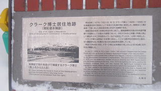 碑と呼ぶにはちょっと物足りない感があります…。