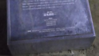 パリとの友好の証です