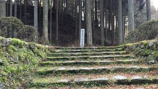 全部見られなかった。。