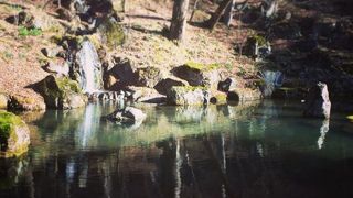 日本庭園もあり水辺もある広いお寺