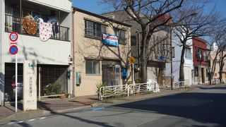 桜の街路樹が気になりました