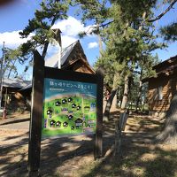 鉢ヶ崎ケビン 写真