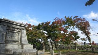 今年は、紅葉、まだでした