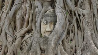 記念写真は座って撮影します