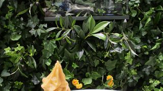 アジア初出店のハワイアンスイーツのお店、Bananに行きました!