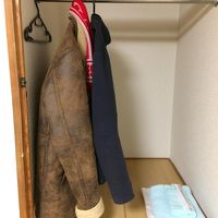 洋服掛けスペースはめずらしい(部屋によるかも)