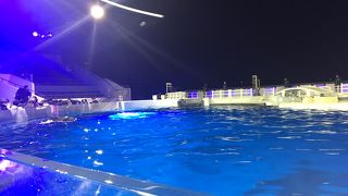 夜の水族館