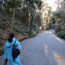 左右が高くなった谷を進む参道