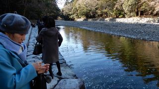 お金を投げ入れないでください！