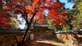 門前の紅葉が美しい