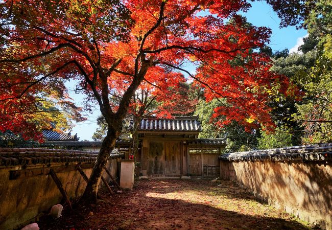 書写山圓教寺 瑞光院 クチコミ アクセス 営業時間 姫路 フォートラベル 書写山圓教寺 瑞光院 クチコミ アクセス 営業時間 姫路 フォートラベル