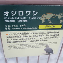 展示解説はこちらで。