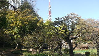 東京タワーにも近い緑豊かな公園