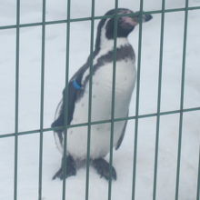 旭山程主役ではないのが、逆に応援したくなってしまいます