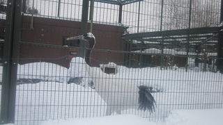 冬でも皆、元気いっぱいです