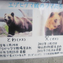 登別の子と、大君が現在の円山に暮らしています